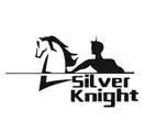 Silver knight